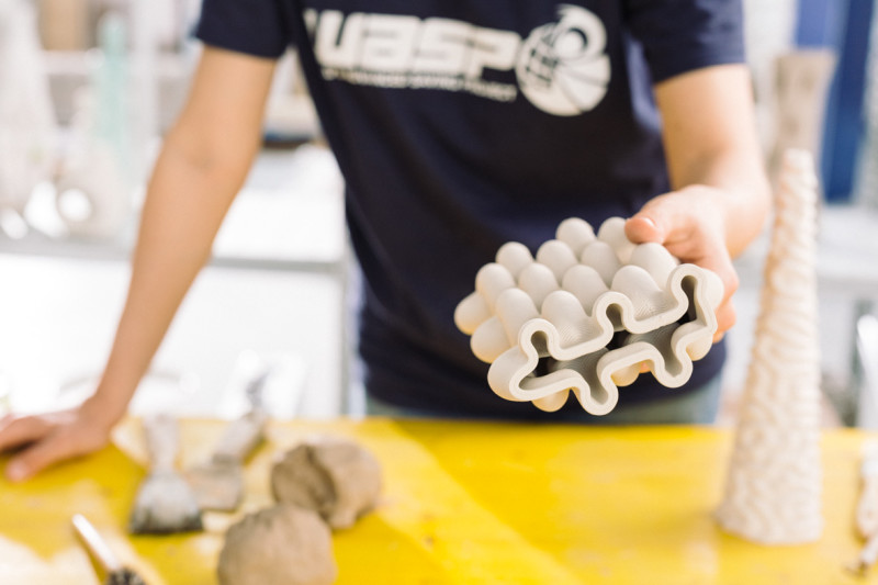 Delta WASP 2040 Clay