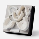 Formlabs White Resin V4 (Form 3)