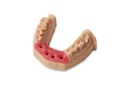 11012020_soft-tissue_157.jpg
